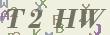 验证码